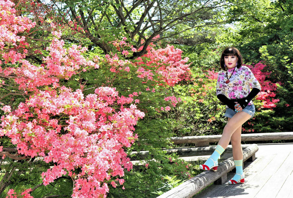 写真５