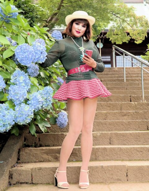 本土寺紫陽花B