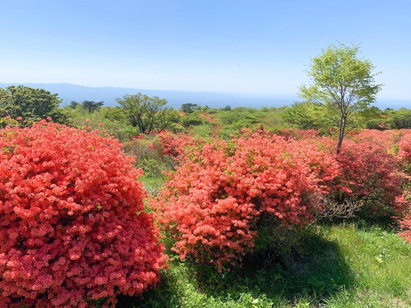 写真１