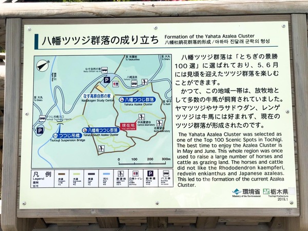 写真２