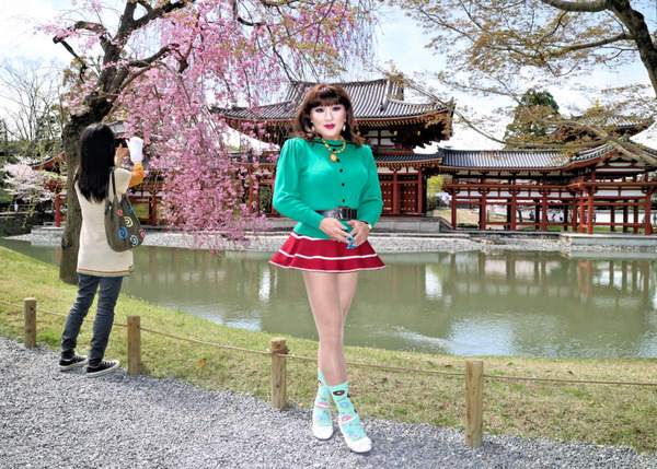 宇治平等院桜