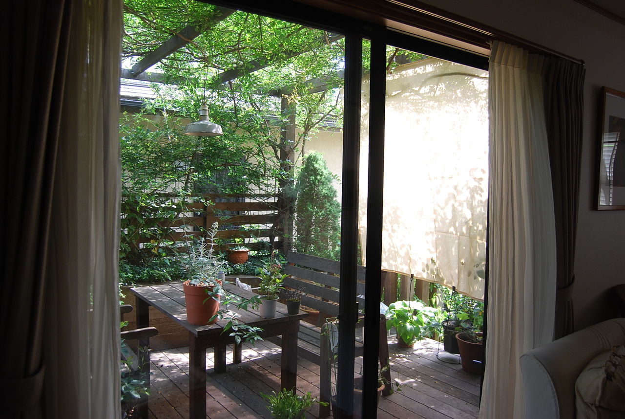 西日対策 ハリモモgarden 西日対策 ハリモモgarden