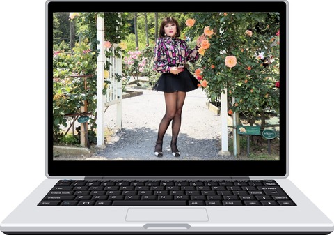 Pornnovel104a