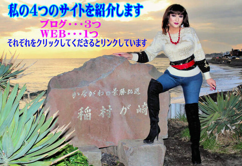ブログ紹介１