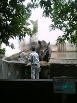 ����Zoo����