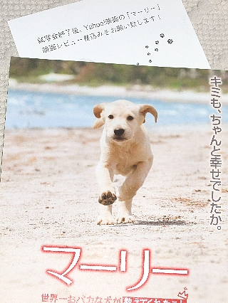 マーリー04