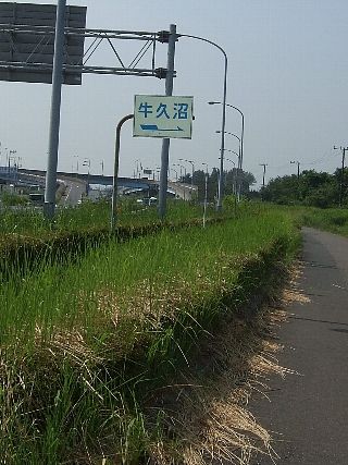 牛久沼01