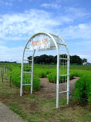 アンデルセン公園10