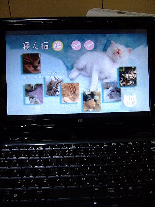 見れた