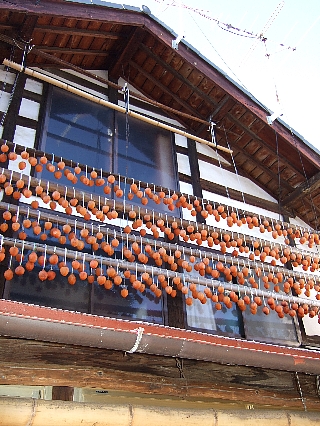 ������01