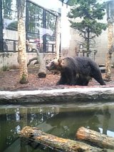 ����Zoo�ҥ���