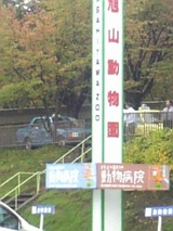 ����Zoo����