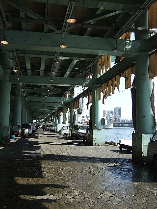 築地市場04