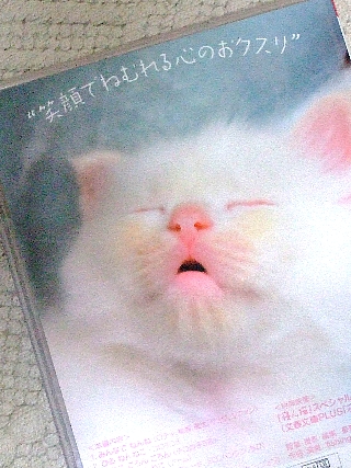 寝ん猫02
