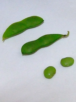 茶豆04