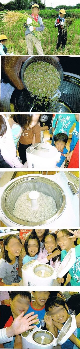 seimai02
