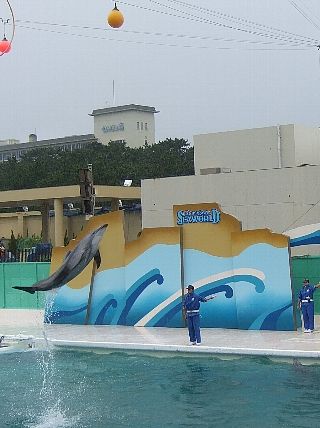鴨川SW11