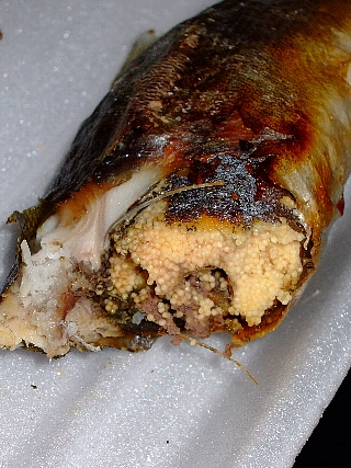 余一やなの鮎料理08