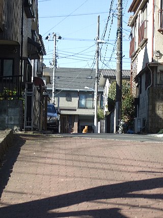 猫の背中01