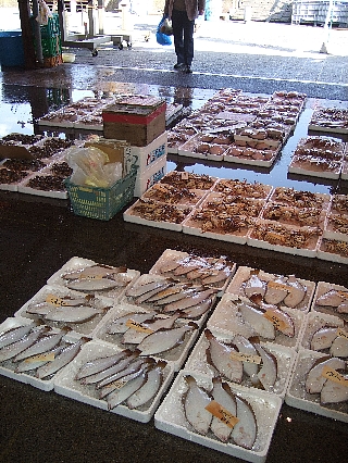 森田水産02