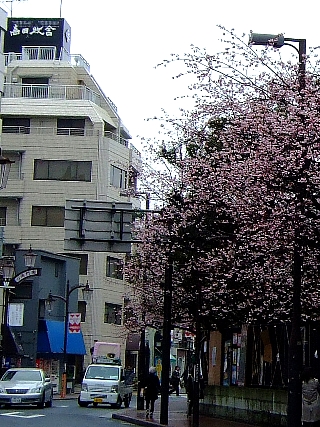 ����Ĥκ�100306