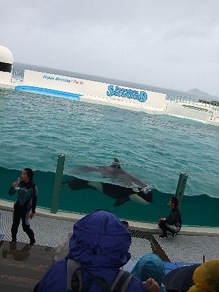 鴨川SW05
