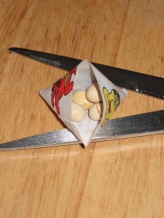 ��ʬ����03