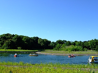 昭和記念公園01