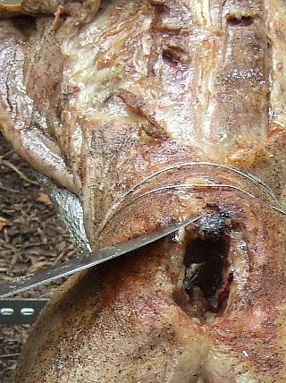 羊丸焼き05
