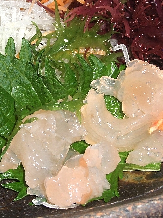 日間賀島ふぐ08