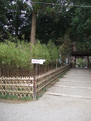 偕楽園05