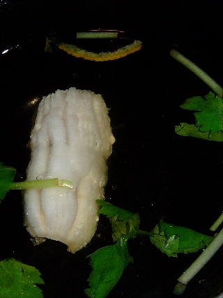 ����ǵ��11b