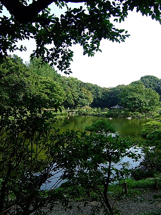 清澄庭園03