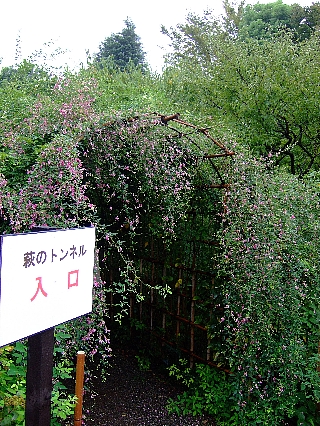 向島百花園04