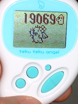 てくてく10km02