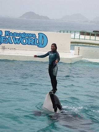 鴨川SW15