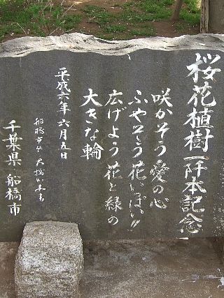 0411桜13