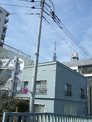 亀戸天神03
