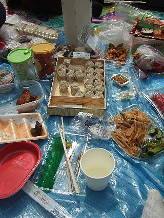 代々木公園の花見03