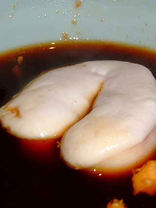 白子