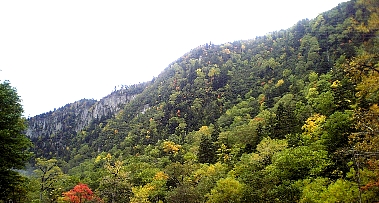 �ر�������