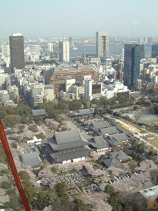 東京タワー(150M1)