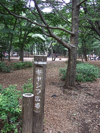 キャンプ場
