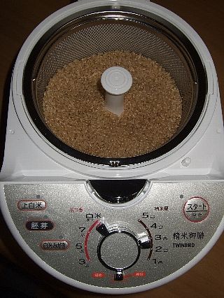 秋ゴハン05a