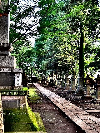 長命寺の秋03