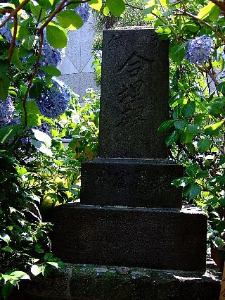 内藤新宿07