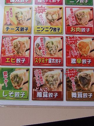 宇都宮餃子01g