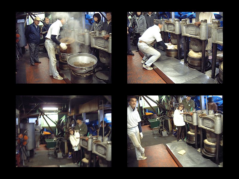 椿油製油作業