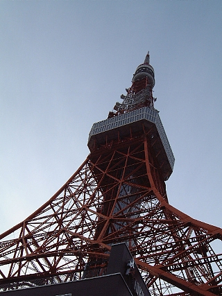 東京タワー(見上げ夕)