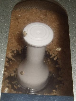精米器モニター01_03d